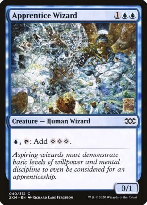 Apprentice Wizard - Foil<br /><span class="collector-number">Collector No. 40</span>