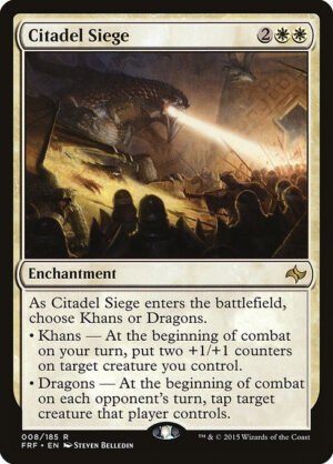 Citadel Siege<br /><span class="collector-number">Collector No. 8</span>